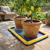 Medium Plant Nappy Liner – Easy Maintenance – Indoor & Outdoor Use